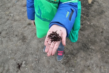 Nieuwsbrief Stad & Natuur