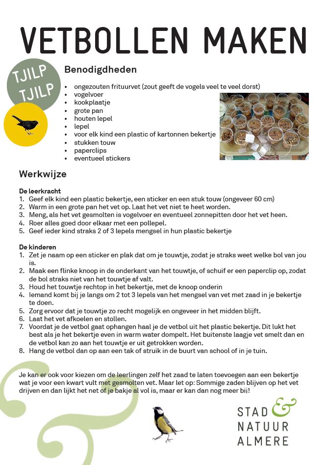 Instructie vetbollen maken